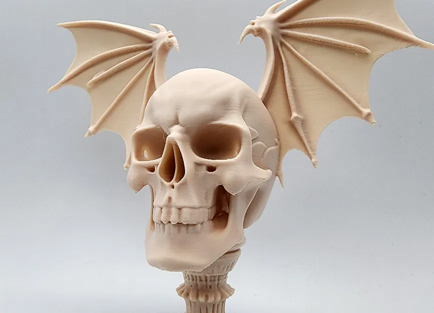 Đầu Lâu Rồng Có Cánh Trên Bệ - Image 4