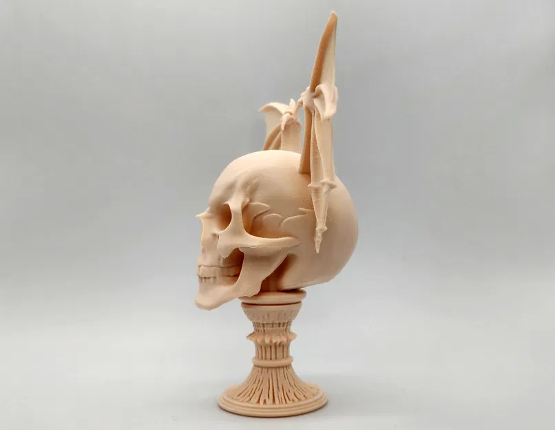 Đầu Lâu Rồng Có Cánh Trên Bệ - Image 5