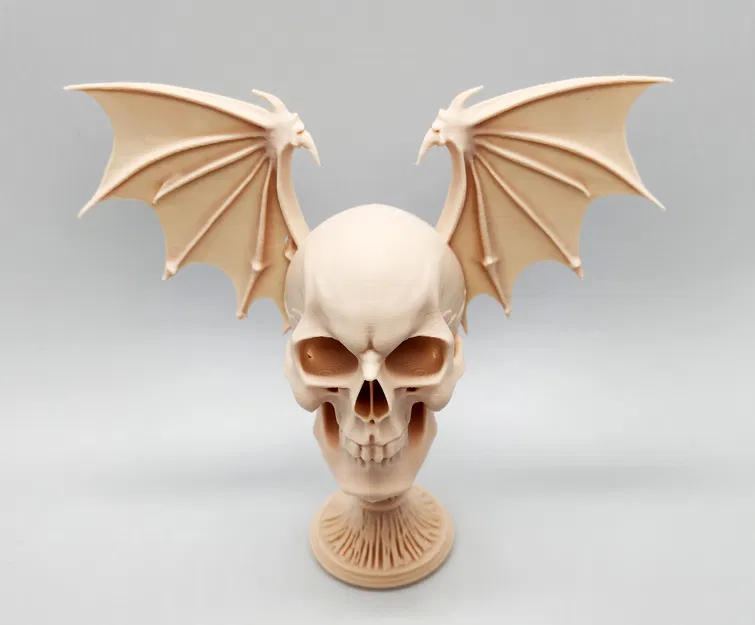 Đầu Lâu Rồng Có Cánh Trên Bệ - Image 6