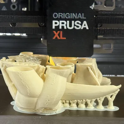 Đầu Lâu Hổ Răng Kiếm