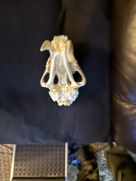 Đầu Lâu Hổ Răng Kiếm - Image 4