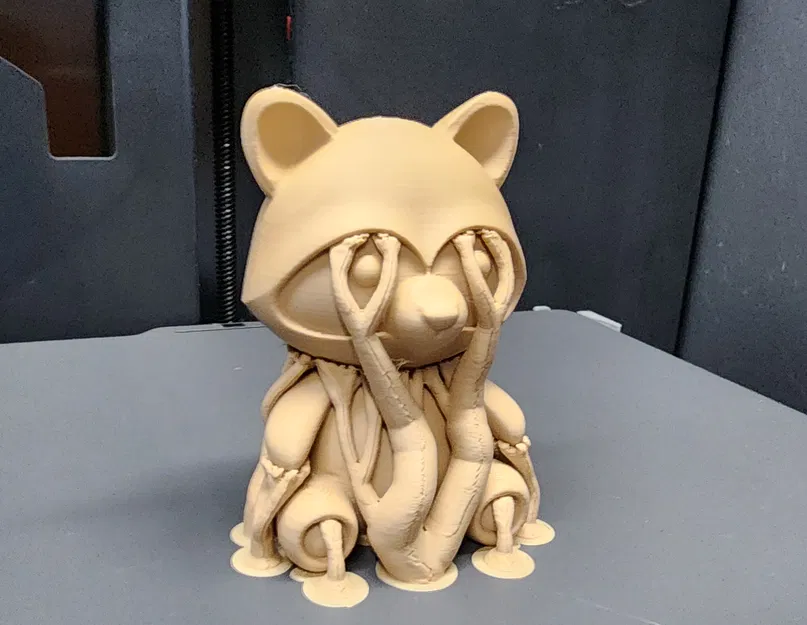 Gấu Bông Raccoon - Image 6