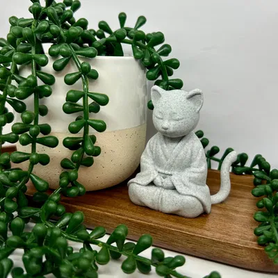 Mèo Thiền Định