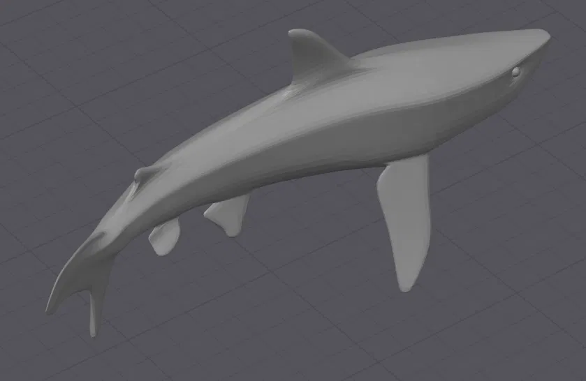 Mô Hình Cá Mập Trưng Bày - Image 4