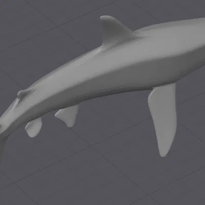 Mô Hình Cá Mập Trưng Bày