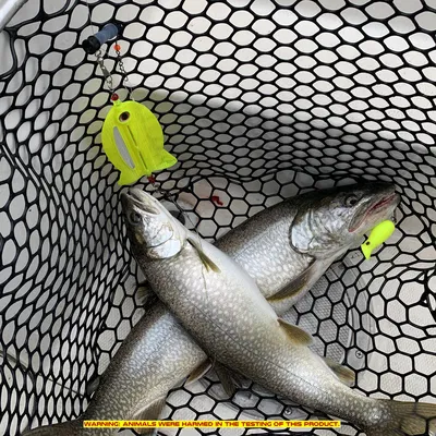 Mồi Câu Cá Thu Hút Cá Quay Chậm - Slow-Roll Fish Attractor