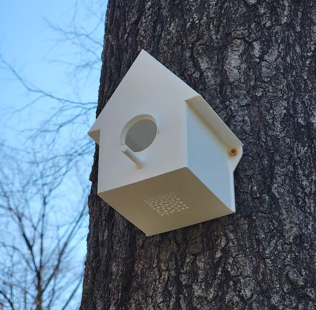 Mẫu Chuồng Chim Đơn Giản. In Một Mảnh. - Image 1