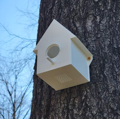 Mẫu Chuồng Chim Đơn Giản. In Một Mảnh.