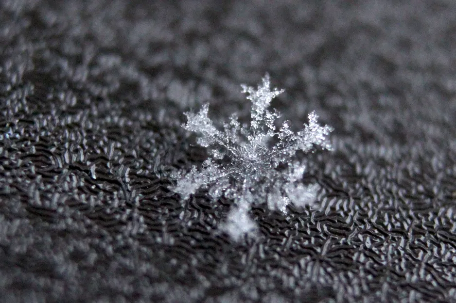 Ống nối dài Canon EF/EF-S parametric - Image 3