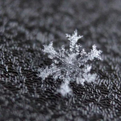 Ống nối dài Canon EF/EF-S parametric