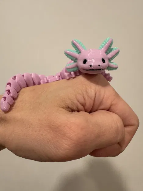 Kỳ nhông axolotl đa sắc màu có khớp nối và chân tay - Image 1