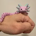 Kỳ nhông axolotl đa sắc màu có khớp nối và chân tay - Thumbnail 1