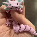 Kỳ nhông axolotl đa sắc màu có khớp nối và chân tay - Thumbnail 2