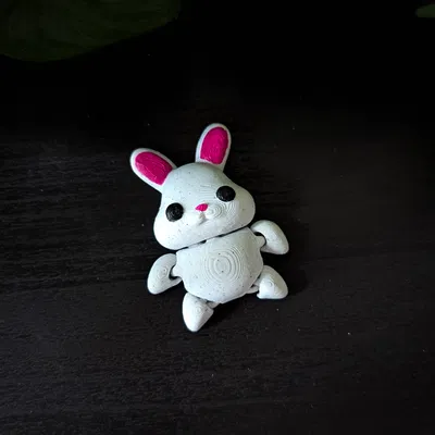 Thỏ Flexi Dễ Thương 🐰