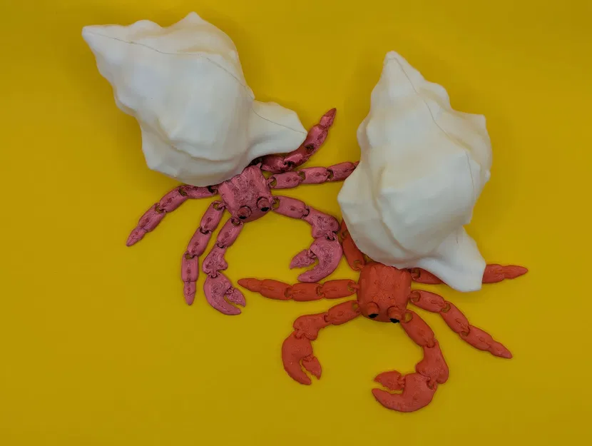 Cua Ẩn Sĩ Khớp Nối - Image 3