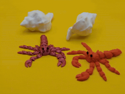 Cua Ẩn Sĩ Khớp Nối - Thumbnail 4