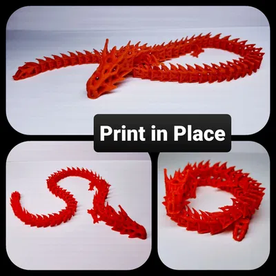 Rồng Bộ Xương In Liền