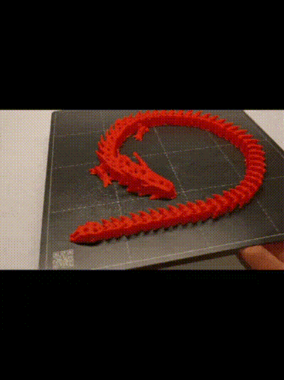 Rồng Bộ Xương In Liền - Image 2