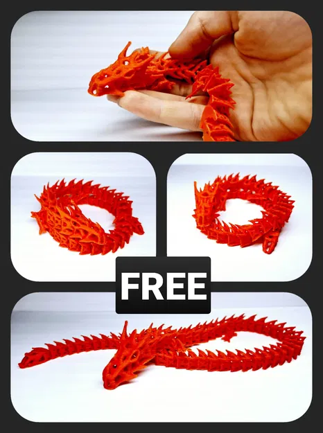 Rồng Bộ Xương In Liền - Image 3