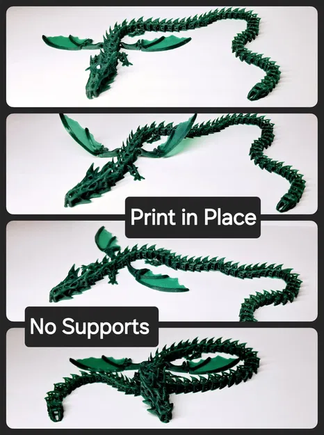 Rồng Bộ Xương Cánh In Liền - Image 2