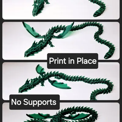 Rồng Bộ Xương Cánh In Liền