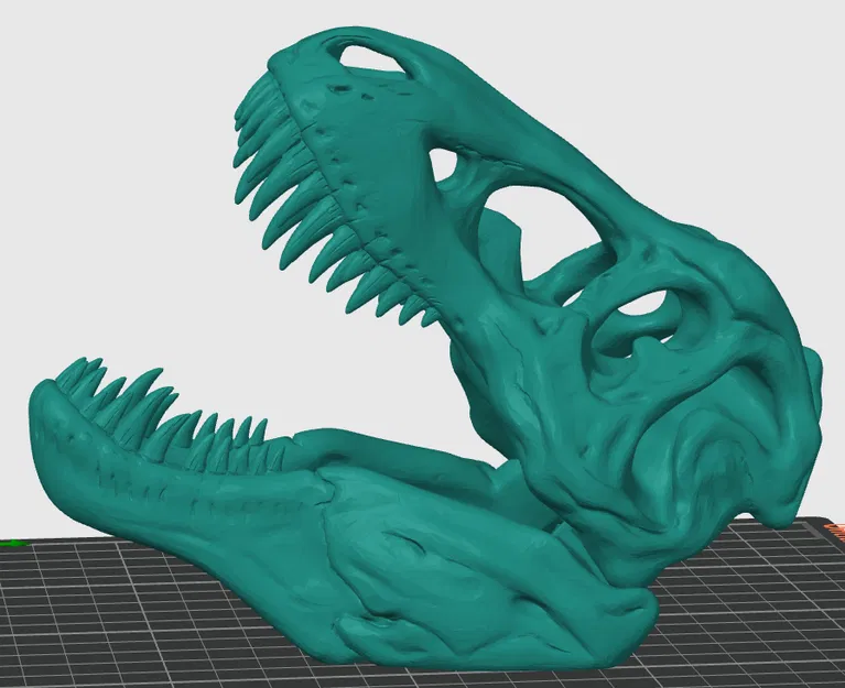 HỘP SỌ T-REX [in 3D đẹp nhất ] - Image 1