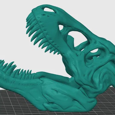 HỘP SỌ T-REX [in 3D đẹp nhất ]