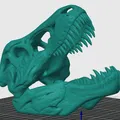 HỘP SỌ T-REX [in 3D đẹp nhất ] - Thumbnail 2