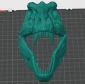 HỘP SỌ T-REX [in 3D đẹp nhất ] - Thumbnail 3