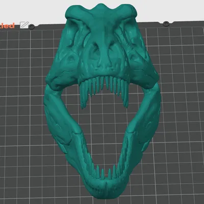 HỘP SỌ T-REX [in 3D đẹp nhất ]