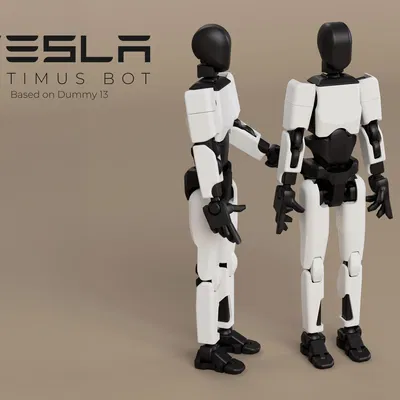 Tesla Optimus Bot 1.0 dựa trên Dummy 13