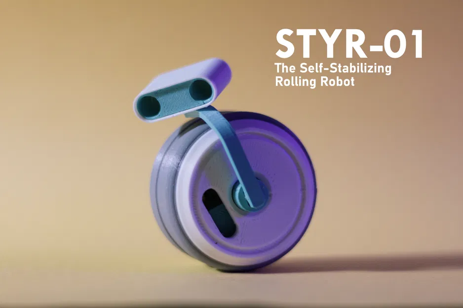Mô hình robot STYR-01: Robot tự cân bằng - Image 1