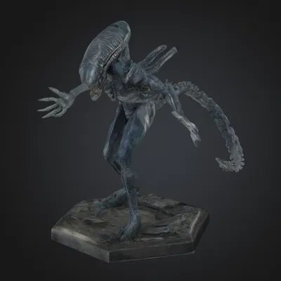 Chân Đế Xenomorph