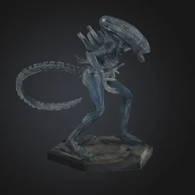Chân Đế Xenomorph