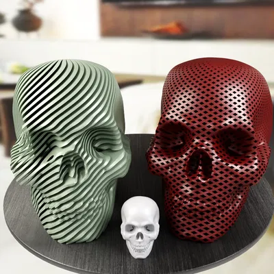 Đầu Lâu Xoắn Ốc - Đồ Trang Trí