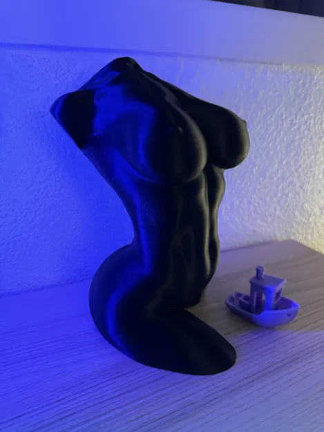 Tượng hình thể phụ nữ cong quyến rũ (chế độ lọ hoa) - Image 1