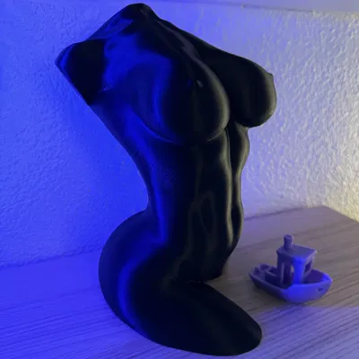 Tượng hình thể phụ nữ cong quyến rũ (chế độ lọ hoa)