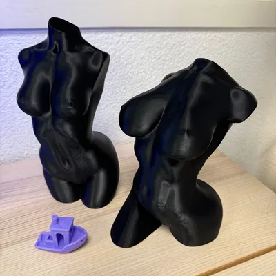 Tượng hình thể phụ nữ cong quyến rũ (chế độ lọ hoa)