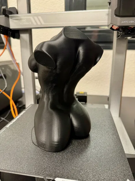 Tượng hình thể phụ nữ cong quyến rũ (chế độ lọ hoa) - Image 6