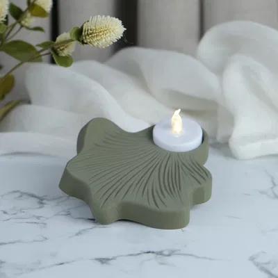 Chân nến Lá Ngân hạnh