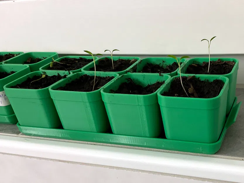 Bộ Khay Ươm Hạt Giống - Image 1