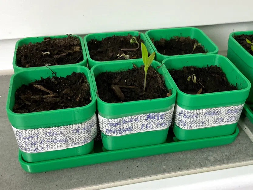 Bộ Khay Ươm Hạt Giống - Image 2