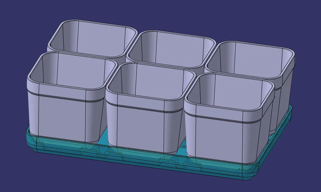 Bộ Khay Ươm Hạt Giống - Image 5