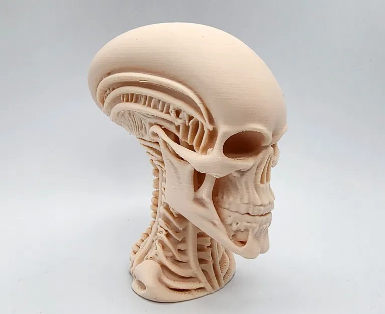 Tượng Đầu Người Ngoài Hành Tinh Khung Xương - Image 1