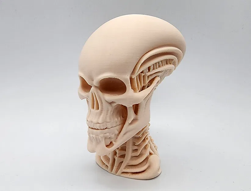 Tượng Đầu Người Ngoài Hành Tinh Khung Xương - Image 2