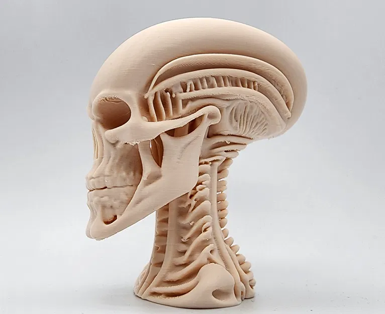 Tượng Đầu Người Ngoài Hành Tinh Khung Xương - Image 3