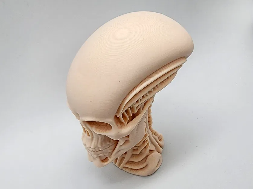 Tượng Đầu Người Ngoài Hành Tinh Khung Xương - Image 4