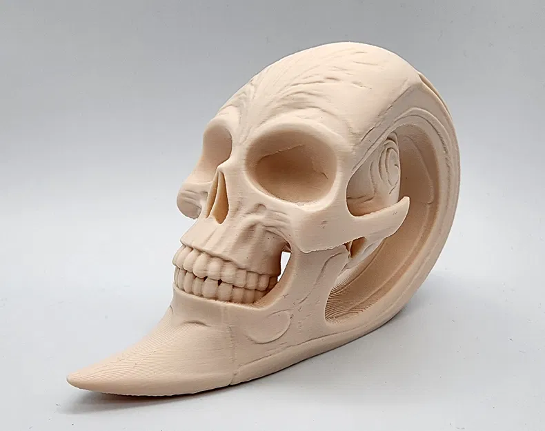 Tượng Đầu Lâu Kéo Dài Độc Đáo - Image 2