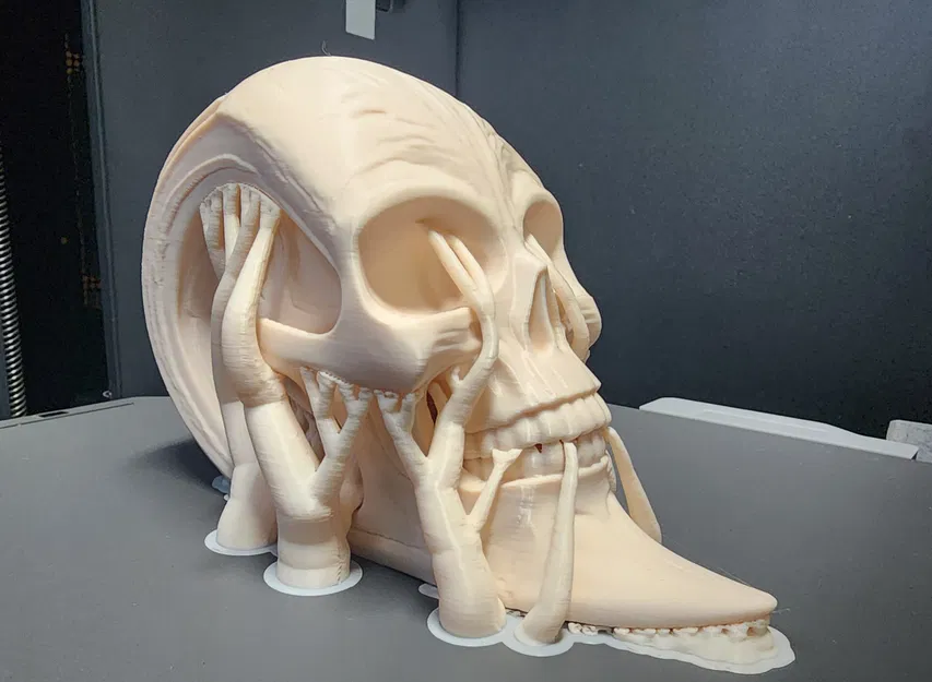 Tượng Đầu Lâu Kéo Dài Độc Đáo - Image 6