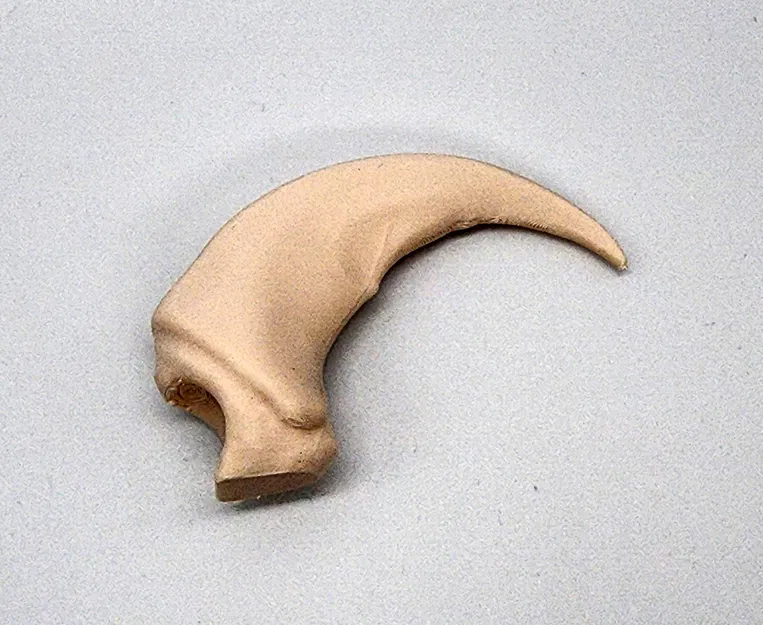 Móng Vuốt Gấu Bắc Mỹ Giả Lập - Image 1